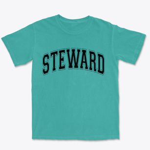 Steward Illinois Varsity Premium Heavyweight T-shirt