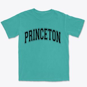 Princeton Indiana Varsity Premium Heavyweight T-shirt