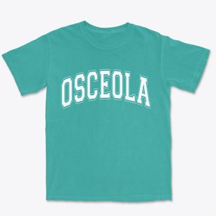 Osceola New York Varsity Premium Heavyweight T-shirt