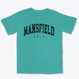 Mansfield Ohio Urban Vibe Premium Heavyweight T-shirt