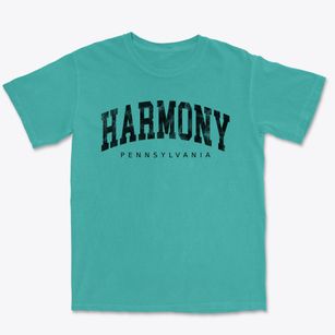 Harmony Pennsylvania Urban Vibe Premium Heavyweight T-shirt