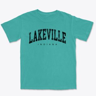 Lakeville Indiana Urban Vibe Premium Heavyweight T-shirt