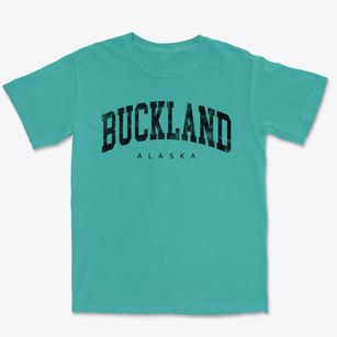 Buckland Alaska Urban Vibe Premium Heavyweight T-shirt