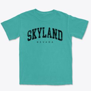 Skyland Nevada Urban Vibe Premium Heavyweight T-shirt