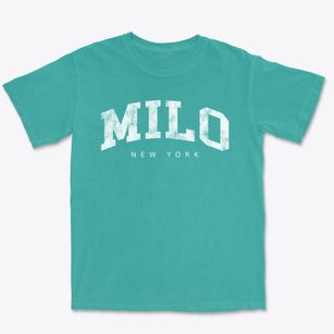 Milo New York Urban Vibe Premium Heavyweight T-shirt