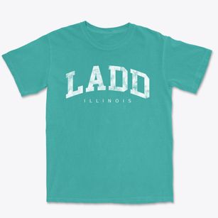 Ladd Illinois Urban Vibe Premium Heavyweight T-shirt