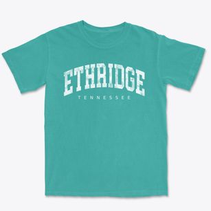 Ethridge Tennessee Urban Vibe Premium Heavyweight T-shirt