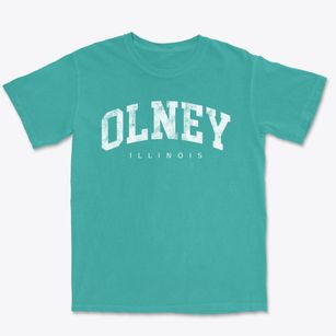 Olney Illinois Urban Vibe Premium Heavyweight T-shirt