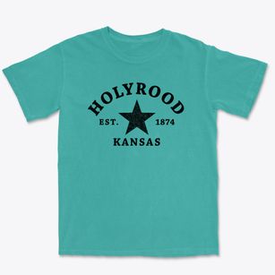 Holyrood Kansas Star Premium Heavyweight T-shirt