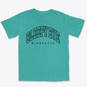 Sleepy Eye Minnesota Inline Premium Heavyweight T-shirt