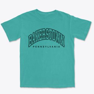 Bakerstown Pennsylvania Inline Premium Heavyweight T-shirt