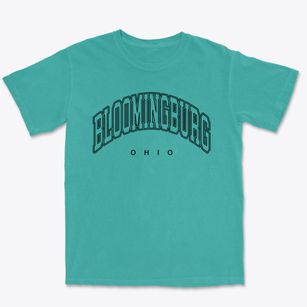 Bloomingburg Ohio Inline Premium Heavyweight T-shirt