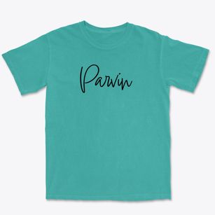 Parvin Pennsylvania Freestyle Premium Heavyweight T-shirt