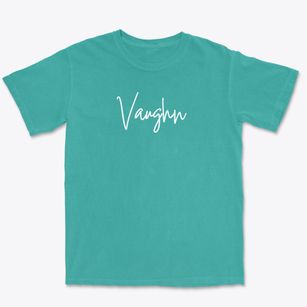 Vaughn Washington Freestyle Premium Heavyweight T-shirt