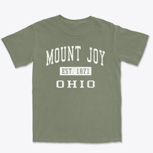 Mount Joy Ohio Classic Established Premium Heavyweight T-shirt