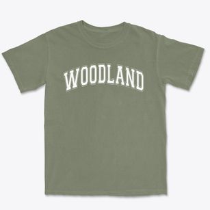 Woodland Elementary School Varsity Arch Premium Heavyweight T-shirt