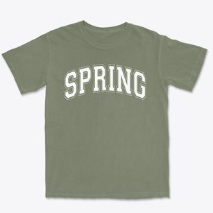 Spring Elementary School Varsity Arch Premium Heavyweight T-shirt