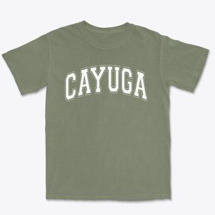 Cayuga Elementary School Varsity Arch Premium Heavyweight T-shirt