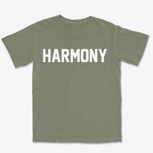 Harmony New Jersey Classic Block Premium Heavyweight T-shirt