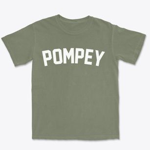 Pompey New York Classic Curve Premium Heavyweight T-shirt