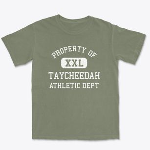 Taycheedah Wisconsin Athletic Dept Premium Heavyweight T-shirt