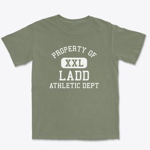 Ladd Illinois Athletic Dept Premium Heavyweight T-shirt