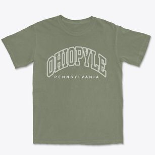 Ohiopyle Pennsylvania Inline Premium Heavyweight T-shirt