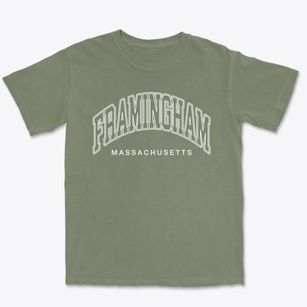 Framingham Massachusetts Inline Premium Heavyweight T-shirt