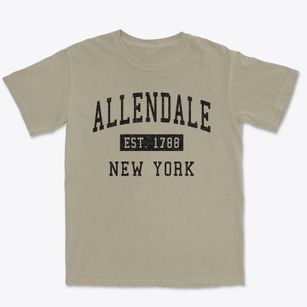 Allendale New York Classic Established Premium Heavyweight T-shirt