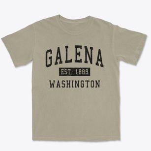 Galena Washington Classic Established Premium Heavyweight T-shirt