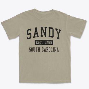 Sandy South Carolina Classic Established Premium Heavyweight T-shirt