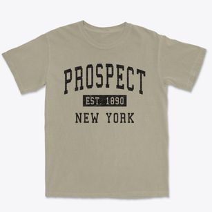Prospect New York Classic Established Premium Heavyweight T-shirt