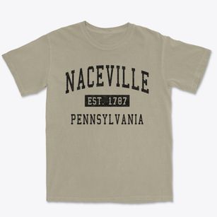 Naceville Pennsylvania Classic Established Premium Heavyweight T-shirt