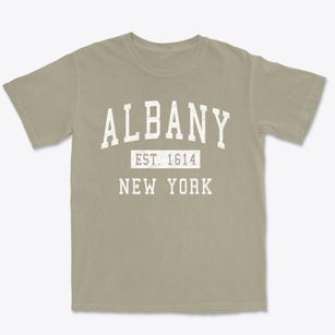 Albany New York Classic Established Premium Heavyweight T-shirt