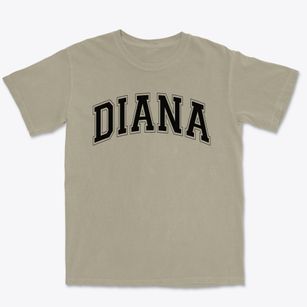 Diana Elementary School Varsity Arch Premium Heavyweight T-shirt