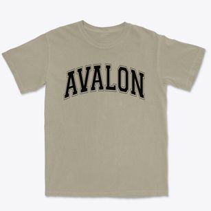 Avalon Elementary School Varsity Arch Premium Heavyweight T-shirt