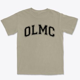 Our Lady Of Mount Carmel School Varsity Arch Premium Heavyweight T-shirt