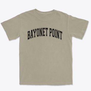 Bayonet Point Middle School Varsity Arch Premium Heavyweight T-shirt