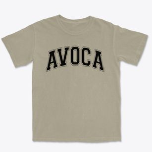 Avoca Elementary School Varsity Arch Premium Heavyweight T-shirt