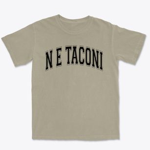 N E Taconi Elementary School Varsity Arch Premium Heavyweight T-shirt