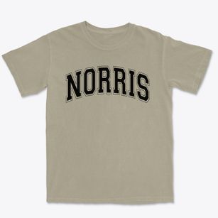 Norris Middle School Varsity Arch Premium Heavyweight T-shirt