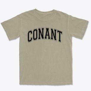 Conant Elementary School Varsity Arch Premium Heavyweight T-shirt