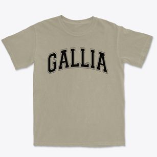Gallia Academy High School Varsity Arch Premium Heavyweight T-shirt