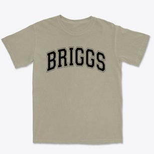 Briggs Elementary School Varsity Arch Premium Heavyweight T-shirt
