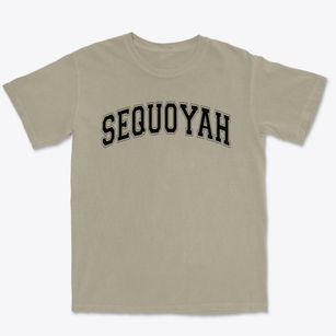 Sequoyah Elementary School Varsity Arch Premium Heavyweight T-shirt