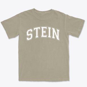 Stein Elementary School Varsity Arch Premium Heavyweight T-shirt