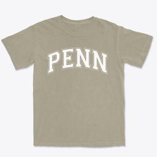 Penn Christian Academy Varsity Arch Premium Heavyweight T-shirt