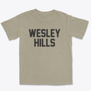 Wesley Hills New York Classic Block Premium Heavyweight T-shirt