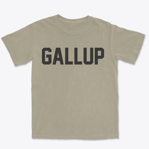 Gallup New Mexico Classic Block Premium Heavyweight T-shirt