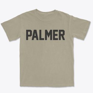 Palmer Illinois Classic Block Premium Heavyweight T-shirt